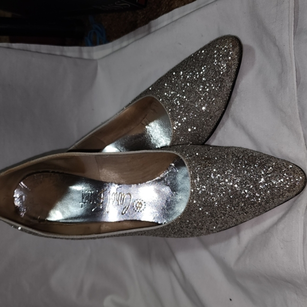 Elegant Silver Glitter Women's Shoes